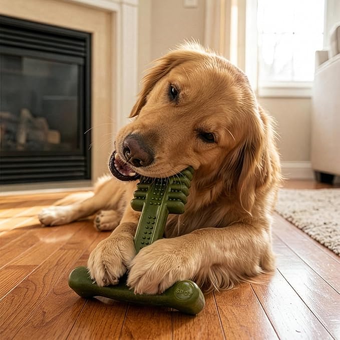 SPOT Bam-Bones Plus Toothbrush Dog Chew Toy for Large Dogs 60-90 lbs, Bamboo & Nylon Dental Chew with Mint & Baking Soda, T-Bone Shape for Moderate to Heavy Chewers, 7 Inch