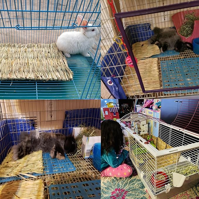 PINVNBY Straw Mats for Rabbits,11.0"x8.3" Natural Bunny Grass Mat,Handwoven Rabbit Hay Mat Small Animal Bedding Chewable & Cooling Mat - Eco-Friendly Cage Liner Nesting Toy(4 PCS)