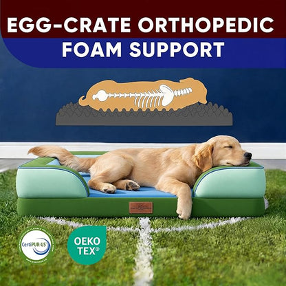 Comfort Expression Orthopedic Dog Bed for Large Dogs 36x27 Inch, Waterproof Egg Crate Foam Large Pet Bed with Removable Bolsters, Dog Couch with Washable Cover & Non-Slip Bottom, Boston