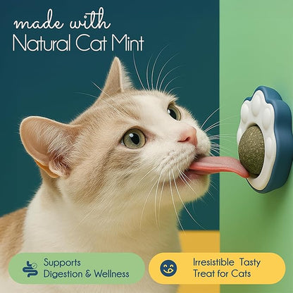 Oh My Cat! Interactive cat Toys – Automatic Electric self-Play Toy Pack Supplies for Bored Indoor Cats, Kittens, and Adult Pets; Moving Stimulation Games, Cute Catnip Ball, Funny Exercise Gift