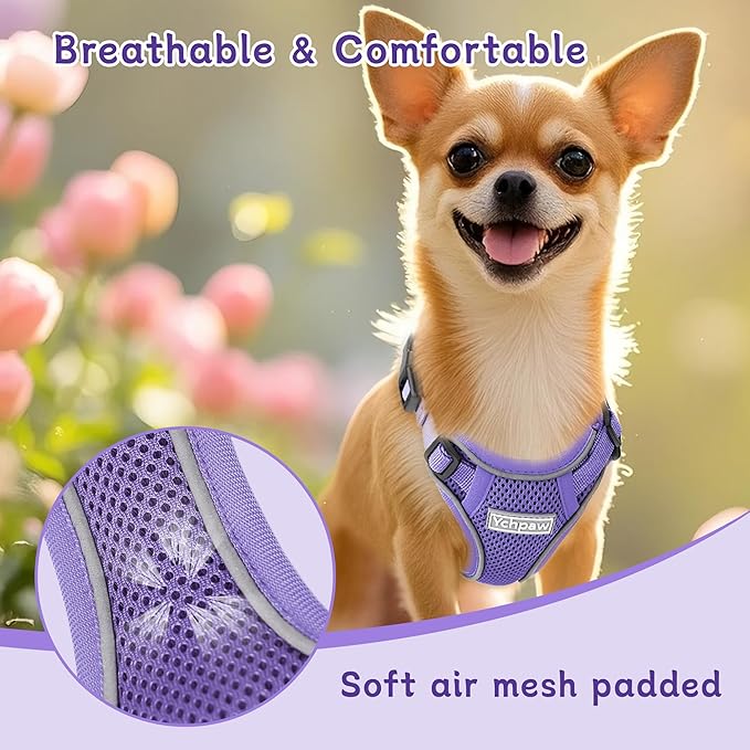 Small Dog Harness and Leash Set, Reflective Soft Breathable Mesh Vest, 3 Buckles, Adjustable Neck and Chest,Step in Dog Harness for Walking, Running, Training, Purple, M