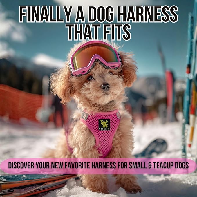 EcoBark Step in Dog Harness - Eco-Friendly Teacup Dog Harnesses for XXS, XS, and Small Dogs - Reflective and Adjustable Mini Body Halter Vest -Tiny Soft Mesh Toy Breed Harness Under 5 lbs (Pink, XXS)