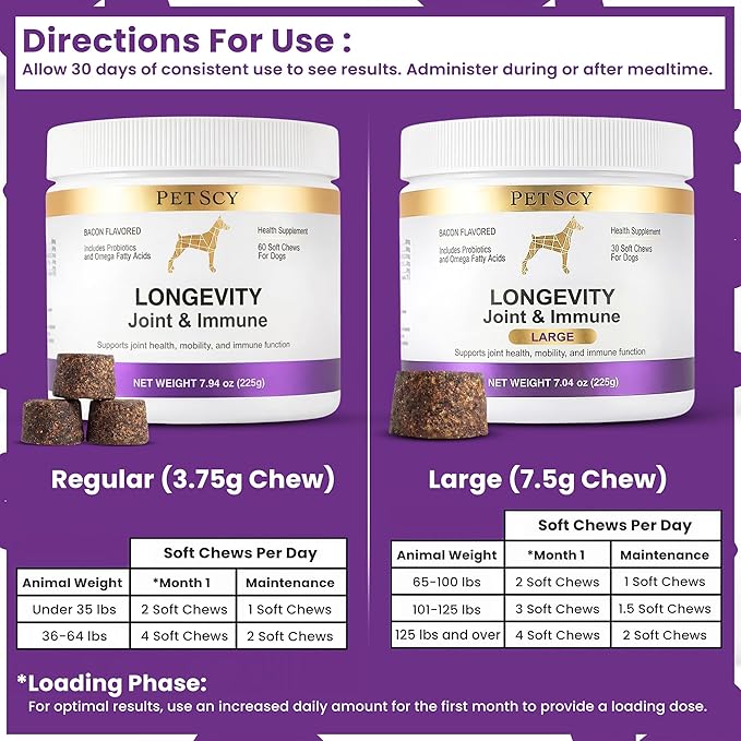 Petscy Longevity Hip & Joint + Immune Support Chews for Dogs - 3.75g Chew - High Dose Glucosamine, MSM, Chondroitin, Green Lipped Mussel, Omega 3, Probiotics - 60 Chews (Small & Medium Dogs)