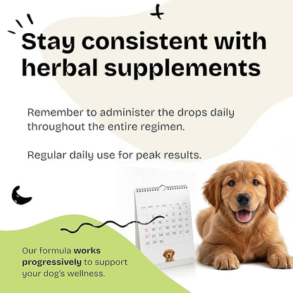 Forever Puppy Digestion Drops for Dogs - Fennel Seeds & Licorice Root Extract for Dogs' Gut Cleanse - Liquid Digestive Health Support Fiber Supplement for All Breeds & Sizes - 2 oz