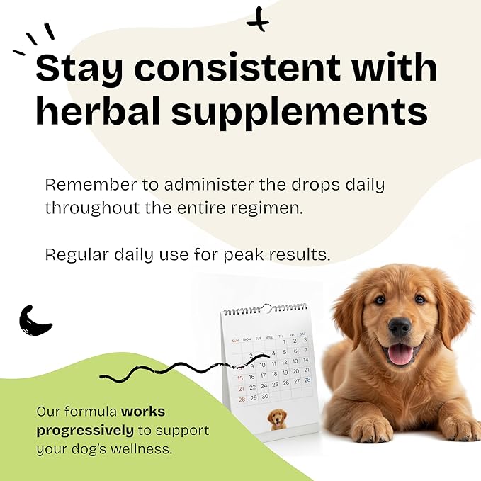 Forever Puppy Avena Sativa Extract for Dogs - Oat Straw Herbal Drops for Calm & Relaxation Support - Pet Composure & Calming Care for Dogs w/Liquid Mood Support Supplement - 4 oz