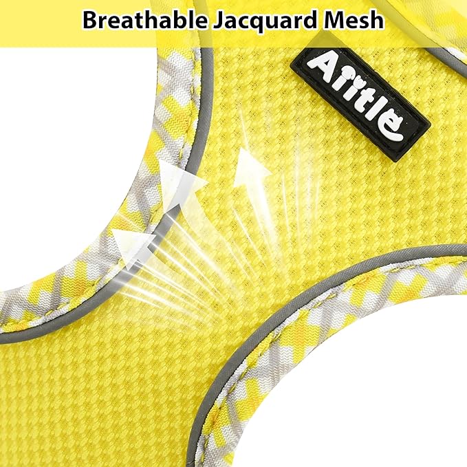 AIITLE Dog Harness and Leash Set - Ultra-Comfortable XXS-XL Vest with Strong Magic Tape & Glow-in-Dark Reflective Strips, Chafe-Free for Teddy, Schnauzer (Yellow, M)