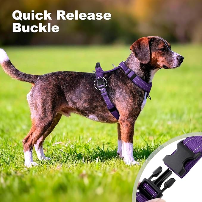 No Pull Dog Harness with Handle, Soft Mesh Padded Adjustable for Small Medium Large Dogs | Reflective Easy Walk Harness with Front Clip for Training, Running & Outdoor (Purple, S)