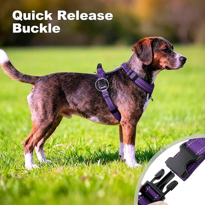 No Pull Dog Harness with Handle, Soft Mesh Padded Adjustable for Small Medium Large Dogs | Reflective Easy Walk Harness with Front Clip for Training, Running & Outdoor (Purple, S)