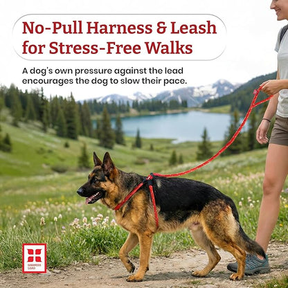 Harness Lead No Pull Dog Harness and Leash Set, Anti Pull Dog Harness, One-Piece Cushioned Rope Safely Prevents Escaping and Pulling (Small/Medium, Reef)