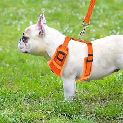 PUPTECK Small Dog Harness and Leash Set, No Pull Adjustable Puppy Cat Harness, Reflective Soft Mesh Pet Vest Small Sized, Orange, M