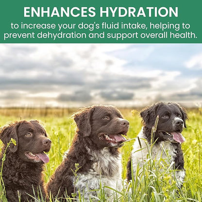 Holistic Bin Canine Gut Biome Blend | Nutrient-Rich Dog Food Toppers | Plant-Based Supplements for Pets Digestion | Probiotic & Prebiotics Canine Daily Overall Wellness Essentials | | Gut Biome (50g)