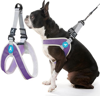 Gooby Simple Step in III Harness - Purple, X-Small - Small Dog Harness with Scratch Resistant Outer Vest - Soft Inner Mesh Harness for Small, Medium Dogs