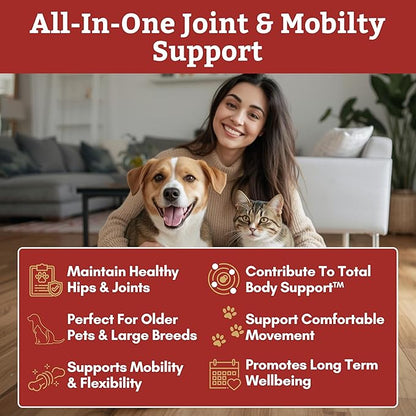 Wholistic Pet Organics - Hip and Joint Supplement for Dogs & Cats - Cat & Dog Joint Supplement - Green Lipped Mussels, Glucosamine, Chondroitin for Dogs & Cat Mobility Support - 2 Lb - 90 Scoops