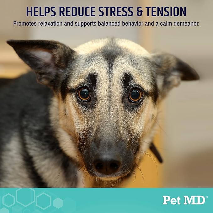 Pet MD Calming Chews for Dogs – Supports Relaxation & Calm Behavior – with Melatonin, Ginger & Chamomile – for Stressful Situations Like Travel, Thunder & Vet Visits – 60 Ct