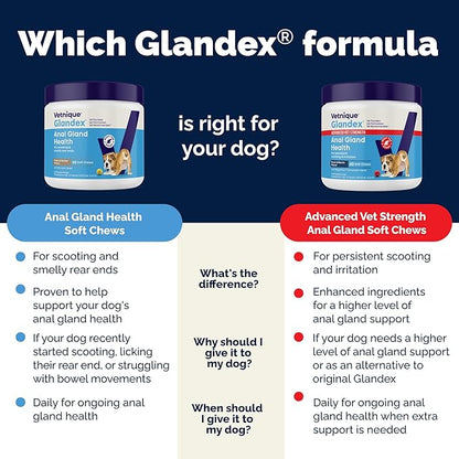 Vetnique Glandex Anal Gland Soft Chew Treats with Pumpkin for Dogs Digestive Enzymes, Probiotics Fiber Supplement for Dogs Boot The Scoot (Advanced Strength Duck/Bacon Chews (Vegetarian), 60 Ct)