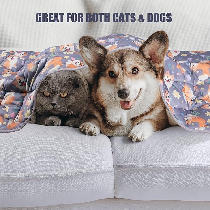 Leekalos Dog Cooling Mat - Summer Pet Cooling Pad for Cats & Dogs, Portable & Home Use