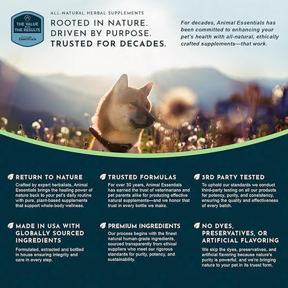 Animal Essentials Senior Support for Dogs & Cats Supplement - Milk Thistle, For Old Cats & Dogs, Pet Kidney Support, Herbal Supplement - 1 Fl Oz