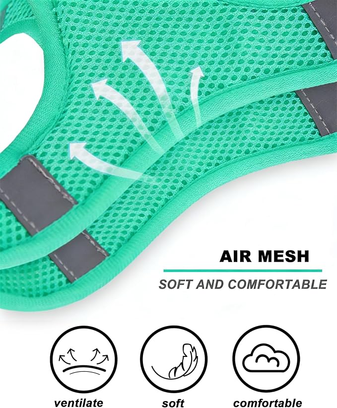 S Floral Green Pattern Dog Harness and Leash Set,No Escape Harnesses for Training Walking，Breathable Adjustable Puppy Vest for Small Medium Dogs, Cats (Turquoise, S)