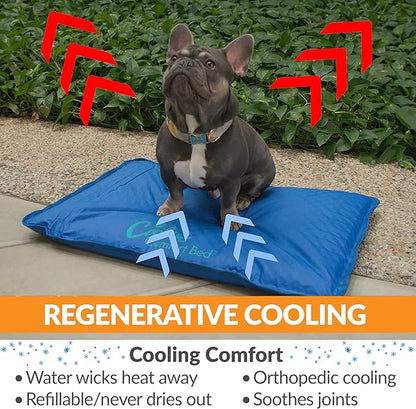 K&H Pet Products Cool Bed III Dog Cooling Mat, Indoor Outdoor Cooling Beds for Large Dogs, Chilling Pet Pad for in Home, Outdoor Houses, Crates, Yards, Porches - Large 44 X 32in Chill Blue