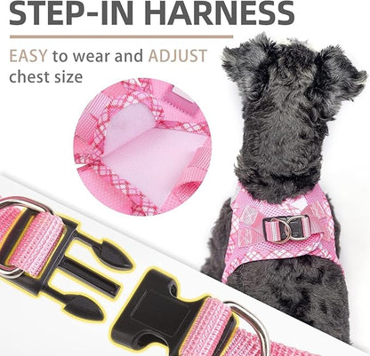 PUPTECK Dog Harness and Leash Set for Small Medium Dogs No Pull Step-in Soft Mesh Puppy Cat Vest Harnesses Reflective at Night, Pink M