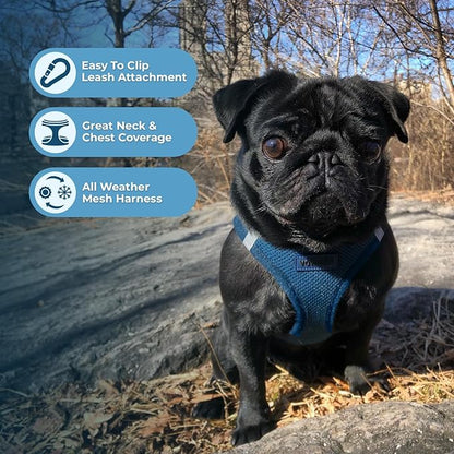 Best Pet Supplies Voyager Step-in Air All Weather Mesh Harness and Reflective Dog 5ft Leash Combo with Neoprene Handle, for Small, Medium and Large Breed Puppies - Set (Blue), Medium