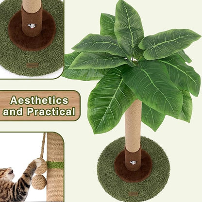 Woochpet Cat Scratching Post for Indoor Cats and Kitten - 35.43" Tall Cat Scratching Post with Sisal Rope,Palm Tree Cat Scratch Post with Hanging Ball (35.4-Green, 35.4in)