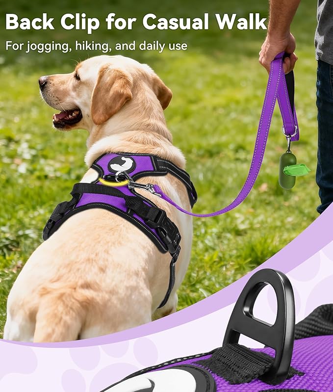 Joytale No Pull Dog Harness for Small Dogs, Reflective Pet Vest with Front Clip, Adjustable Soft Padded Harnesses with Easy Control Handle for Training and Walking, Purple, S