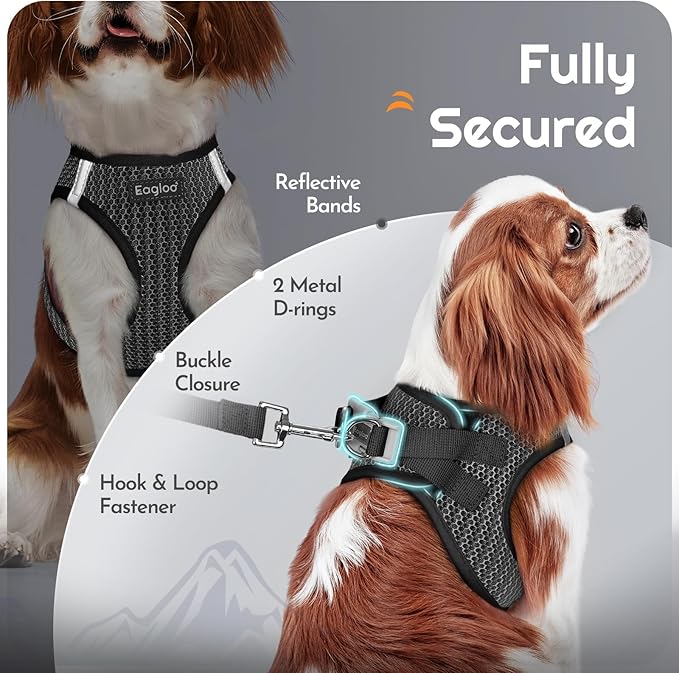 Eagloo Small Dog Harness and Leash Set, Step in Puppy Vest with Breathable Soft Mesh, Walking Reflective Pet Harness for Small Dogs, Gray, S
