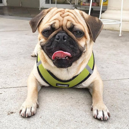 Best Pet Supplies Voyager Step-in Air All Weather Mesh Harness and Reflective Dog 5ft Leash Combo with Neoprene Handle, for Small, Medium and Large Breed Puppies - Set (Lime/Black Trim), XX-Small