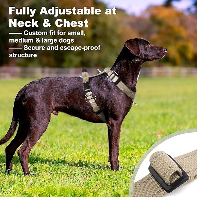 No Pull Dog Harness with Handle, Soft Mesh Padded Adjustable for Small Medium Large Dogs | Reflective Easy Walk Harness with Front Clip for Training, Running & Outdoor (Beige, L)