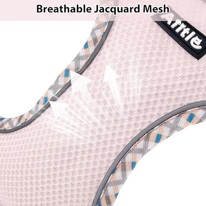 AIITLE XXS Dog Harness & Leash Set - Breathable Reflective No-Choke Small Dog Harness for Teacup Puppies, Indoor/Outdoor Use - Boston Terrier, Maltese, Chihuahua (Blue-Pink, XXS)