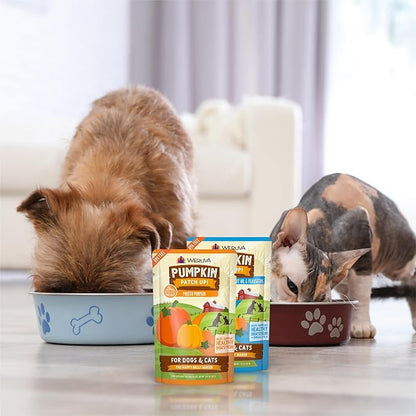 Weruva Pumpkin Patch Up! Pumpkin Pumpkin, What's Your Function? Variety Pack for Dogs & Cats, 2.8oz Pouch (Pack of 12)