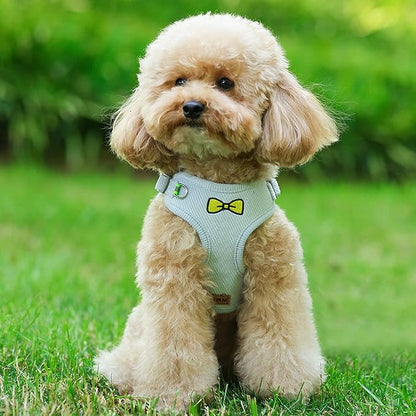 No Pull Dog Harness with Leash Pet Soft Vest Harness and Leash Set Dog Cat No Choke Escape Proof Harness Reflective Step in Harness for Small Medium Dogs Cats (Baby Blue, Medium)
