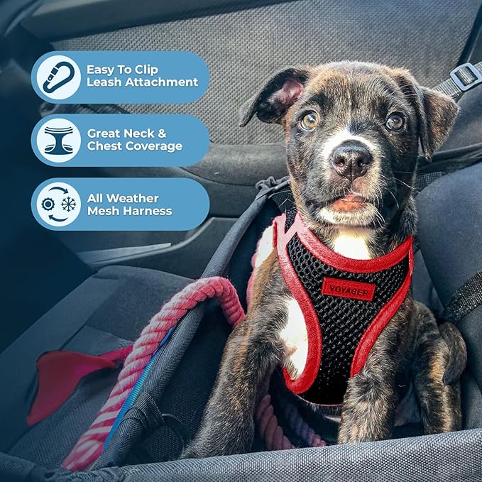 Best Pet Supplies Voyager Step-in Air All Weather Mesh Harness and Reflective Dog 5ft Leash Combo with Neoprene Handle, for Small, Medium and Large Breed Puppies - Set (Red Trim), X-Small