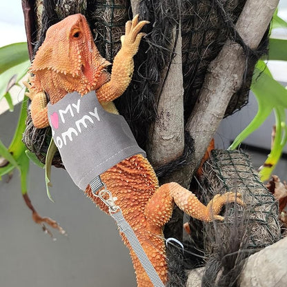 CUSOZWO Bearded Dragon Harness and Leash Set - Cute Lizard Reptile Small Animal Adjustable Harness Clothes with Short Leash for Walking Outdoor