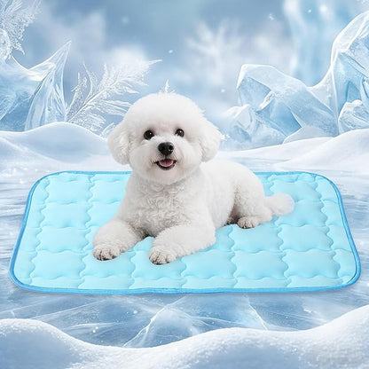 Dog Cooling Mat, Double-Sided with Cooling Fabric & Warm Flannel, 27.6" x 19.7" Thickened Cooling Mat for Dogs, No Electricity Needed, Machine Washable, Portable Crate Cat Pad for Indoor & Outdoor Use