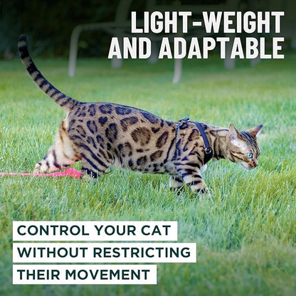 Houdini™ Escape Proof Kitten Harness and Leash Set by OutdoorBengal – Extra Small – Comfy, Adjustable and Lightweight - Houdini Cat Harness Escape Proof for Small Cats + Cat Leash 6ft (Multicolor, XS)