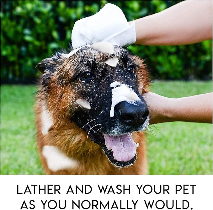 Scrubby Pet No Rinse Wipes | Rinse Free Shampoo Mittens | Dogs & Cats | Bath Wipes | Bathing & Washing Pets, Hypoallergenic | No Rinse Wash Mitt | Grooming, Lather Wipe Dry - Pack of 20