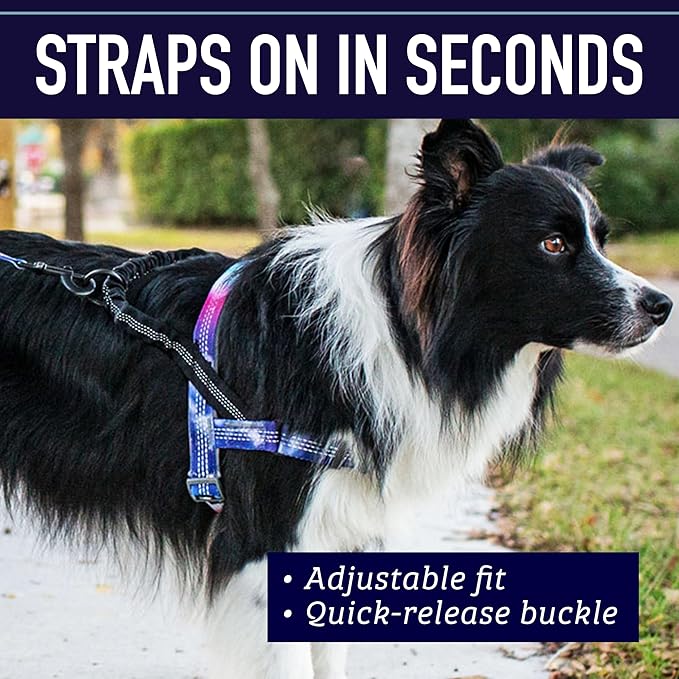 Leash Boss No Pull Dog Harness, Easy Walk for Small, Medium, and Large Pets, Reflective with Rear and Front Clip Attachment (Wave Pattern, Large)