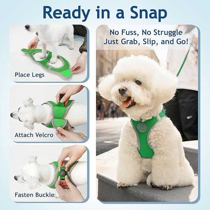 Kruz Dog Harness (Chest 13.5"-14", Weight 4–6 lbs) Athletica Adjustable Heavy Duty No Choke Puppy Vest for Small Dogs Lightweight Air Mesh, Reflective, Puppy Essentials – Mint Green, X-Small