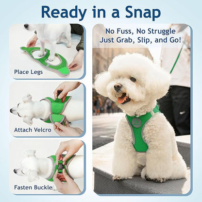 Kruz Dog Harness (Chest 13.5"-14", Weight 4–6 lbs) Athletica Adjustable Heavy Duty No Choke Puppy Vest for Small Dogs Lightweight Air Mesh, Reflective, Puppy Essentials – Mint Green, X-Small