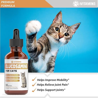 Glucosamine for Cats | Cat Glucosamine | Glucosamine for Cats Liquid | Cat Joint Supplement | Joint Supplement for Cats | Cat Joint Pain Relief | Joint Support for Cats | 1 fl oz: Chicken Flavor