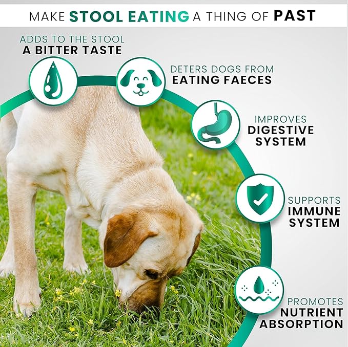 Grateful Pawz No Poo Chews for Dogs - 170 Chews - Coprophagia Stool Eating Deterrent for Dogs Supplement - Prevent from Eating Poop - Probiotics & Digestive Enzymes - Advanced Strength - Made in USA