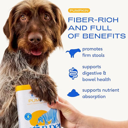 Native Pet Pumpkin for Dogs - Organic Dog Food Topper Powder - Promotes Firm Stools, Supports Digestive, Bowel Health & Nutrient Absorption - USDA Organic, Rich in Fiber with Real Pumpkin -120 Scoops