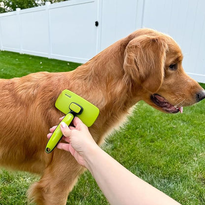 Pecute Self-Cleaning Slicker Brush for Dogs, Cats, Lightweight Dog Brush for Shedding Massaging Grooming, Cat Brush Gently Removes Loose Fur Undercoat for Dogs Cats Rabbits of All Hair Types