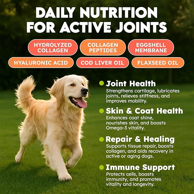 Collagen for Dogs - 150 Chews - Joint, Skin & Coat Supplement with Hyaluronic Acid, Eggshell Membrane & Vitamin C - Daily Hip & Joint Support for Senior Dogs & Puppies - Beef