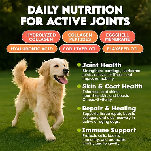 Collagen for Dogs - 150 Chews - Joint, Skin & Coat Supplement with Hyaluronic Acid, Eggshell Membrane & Vitamin C - Daily Hip & Joint Support for Senior Dogs & Puppies - Beef