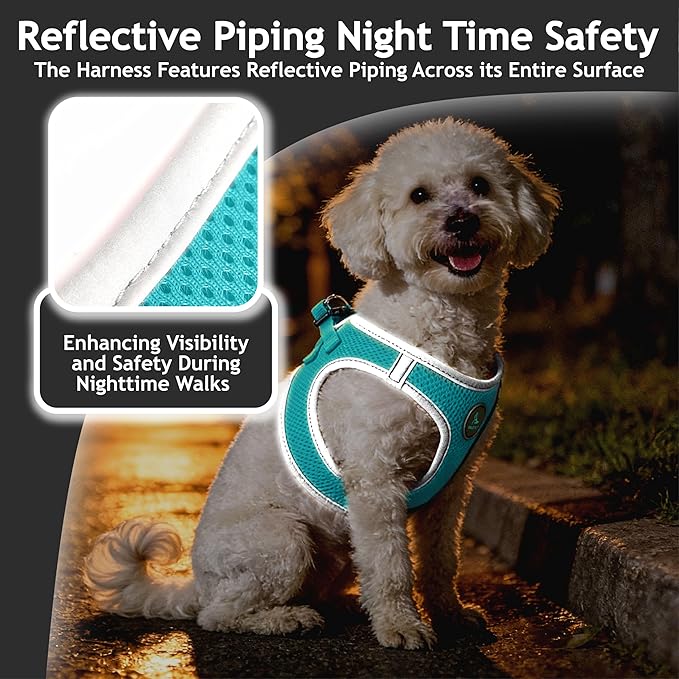Kruz Dog Harness (Chest 13.5"-14", Weight 4–6 lbs) Athletica Adjustable Heavy Duty No Choke Puppy Vest for Small Dogs Lightweight Air Mesh, Reflective, Puppy Essentials – Turquoise, X-Small