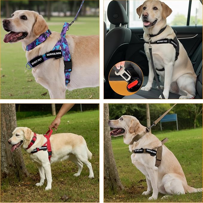 Annchwool No Pull Dog Harness,Heavy Duty Collar & Leash Set-Leash with Double Handle & Car Seatbelt Clip,Easy Control for Walking Training Medium Large Size Dogs(Camo Purple,L)