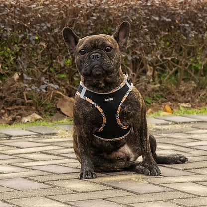 AMTOR Small Dog Harness with Leash Set, No Escape Easy Walk Puppy Harnesses for Training Walking, Step-in Reflective Soft Dogs Vest for XS S Medium Extra-Small Large Sized Dog(BlackYellow,M)
